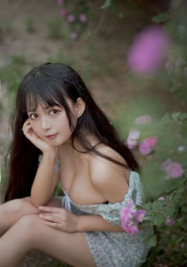 县令黄马褂 电视剧免费观看_HD完整视频观看