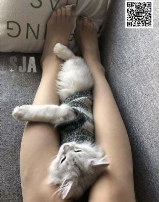 十八岁高清版免费观看电视剧_1080在线播放