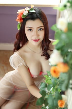 绝地枪王电视剧全集免费观看_4K视频大全
