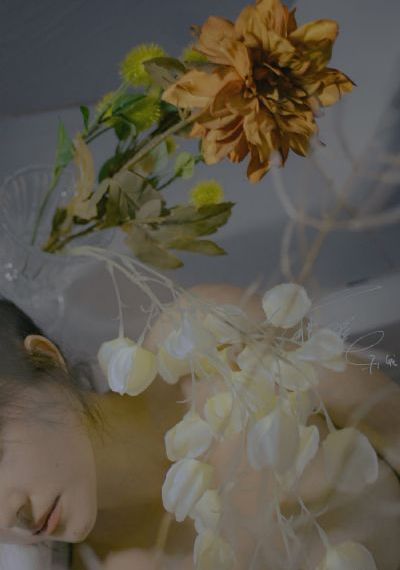 《恋之月》电视剧_高清在线视频播放