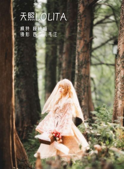 决胜零距离 电视剧_在线电影观看