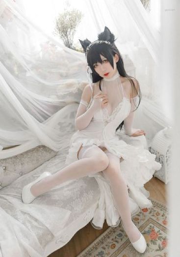 重生之仕途风云_在线完整观看