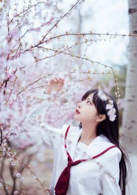 风情艳主最新调教—vk_国产剧免费观看电视剧